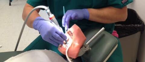 A Dental Assistant student practices a cleaning procedure on a mannequin