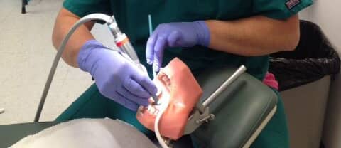 A Dental Assistant student practises a cleaning procedure on a mannequin. Check out First Institute, which offers a Dental Assisting Program in Libertyville and Crystal Lake, IL